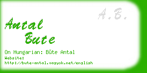 antal bute business card